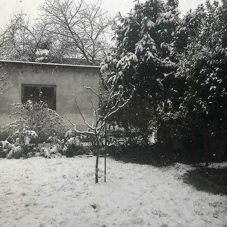Bacchetta - Garden View