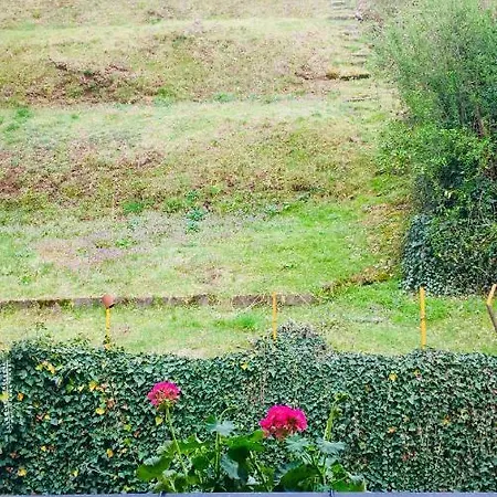Bacchetta - Garden View *